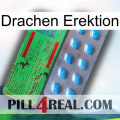 Dragon Erection new03